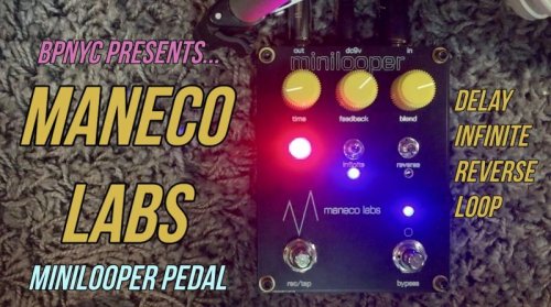 ニューデモビデオ！Maneco Labs minilooper Lo-fi ループディレイ