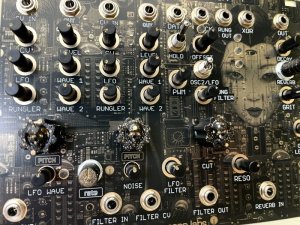 画像2: Maneco Labs GRONE MANECOLIN (eurorack)　