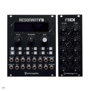 画像1: Erica Synths  Graphic Resonant FB & Expander　次回入荷分