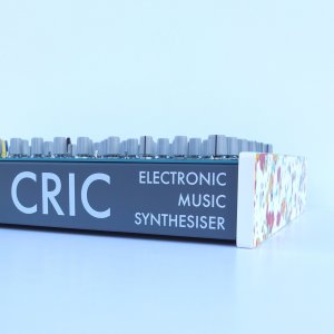 画像3: Future Sound Systems CRIC　要予約