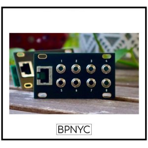 画像: Dusty Clouds OCTALINK 1U Alternative panel Matte Black / Gold